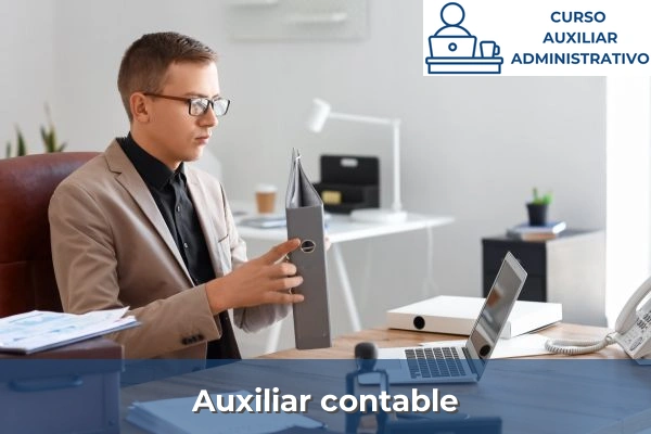 Auxiliar contable