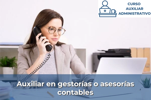 Auxiliar en gestorías o asesorías contables